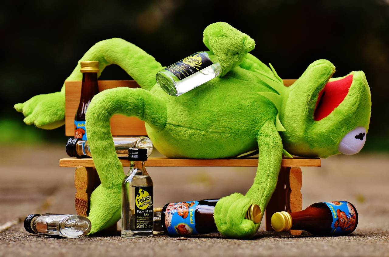 Alkohol-Kermit-betrunken.jpg
