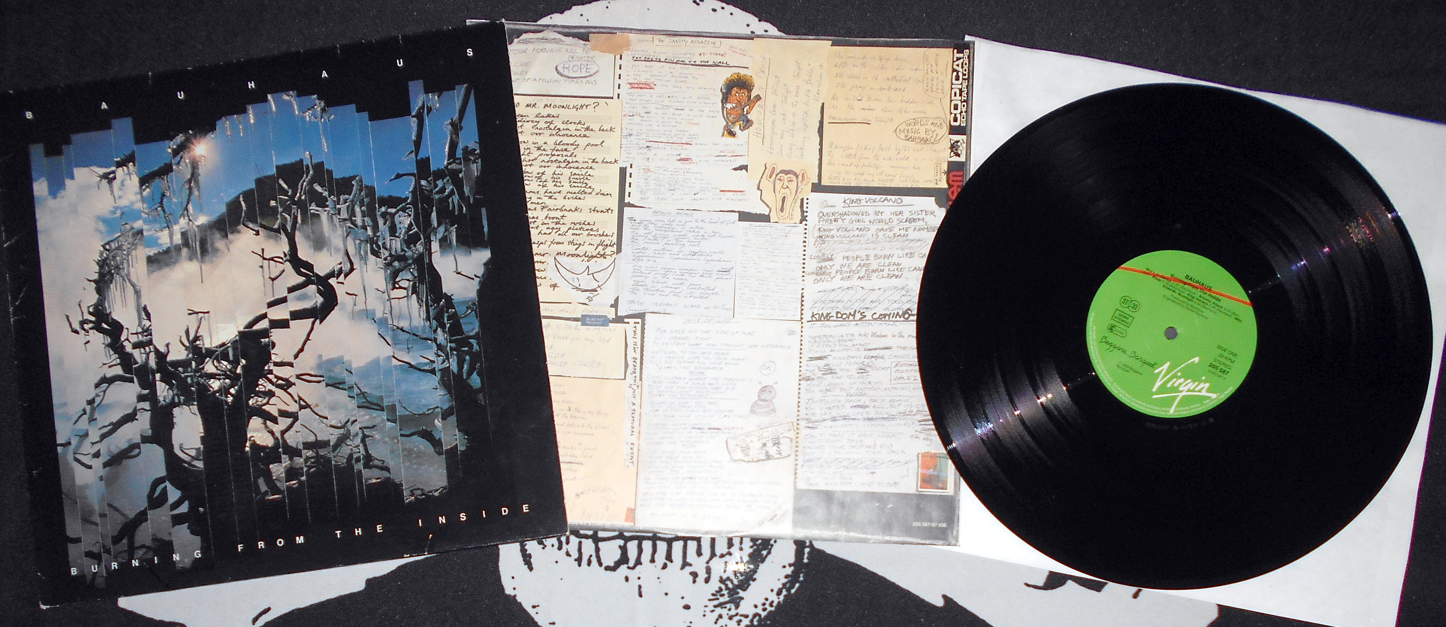 BAUHAUS - Burning from the Inside  (2).JPG