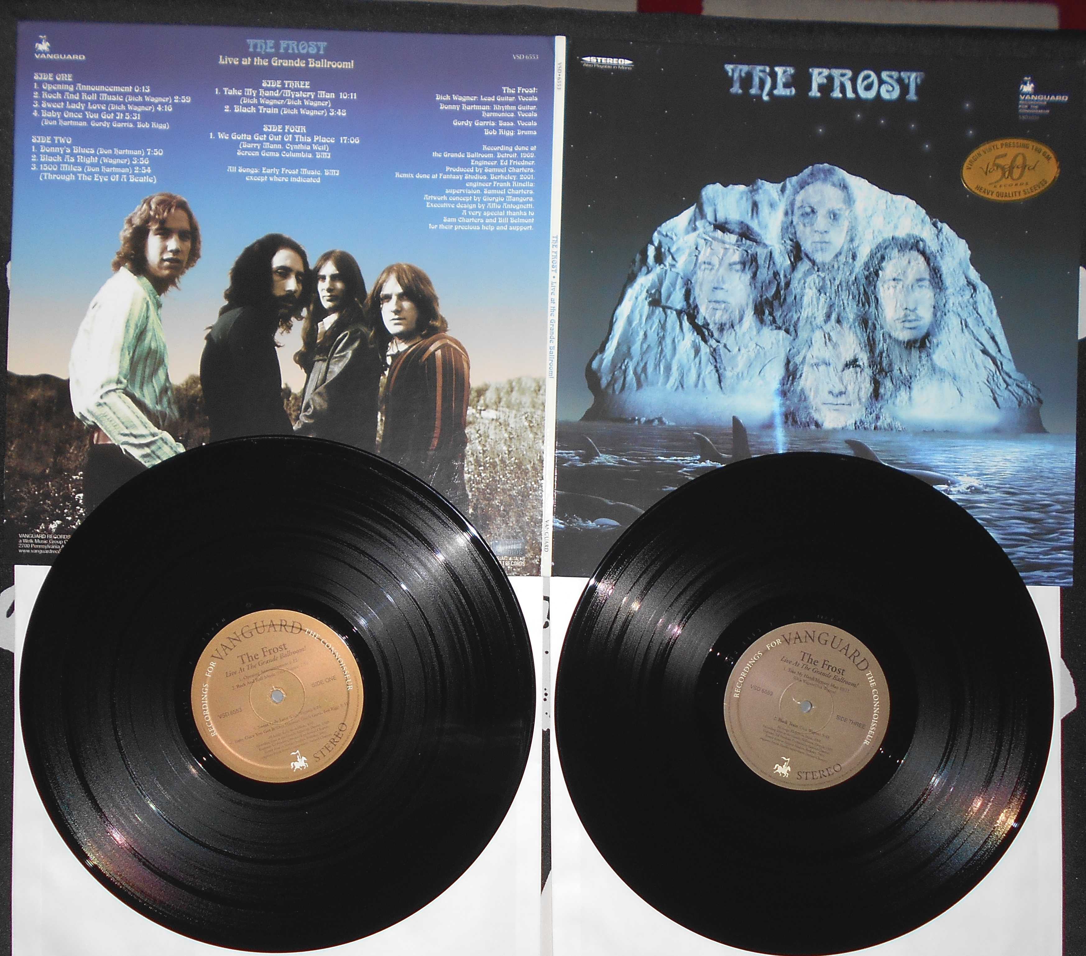 THE FROST - Live at the Grande Ballroom (1).JPG