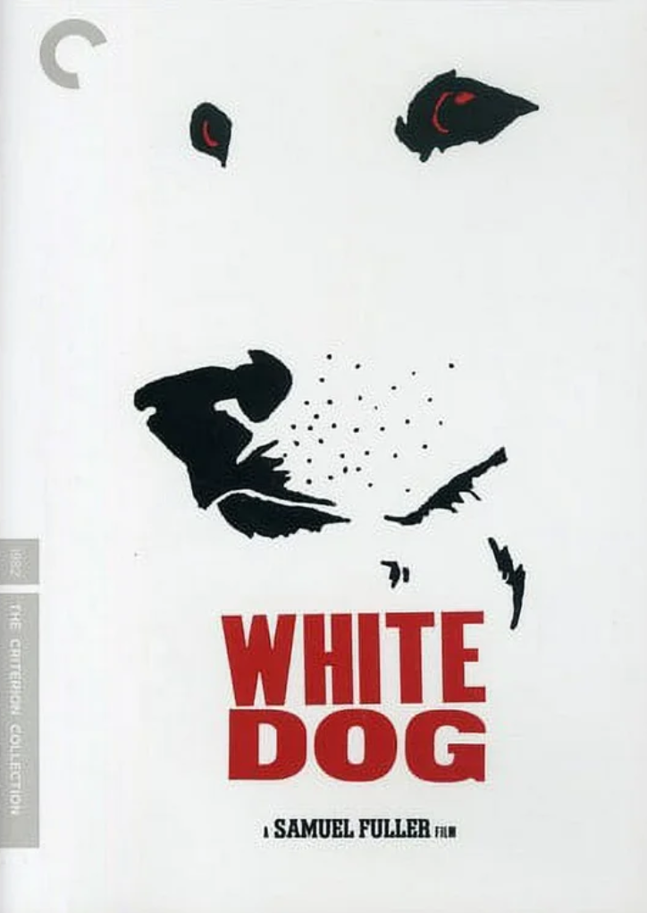 Screenshot 2026-03-02 110001.png