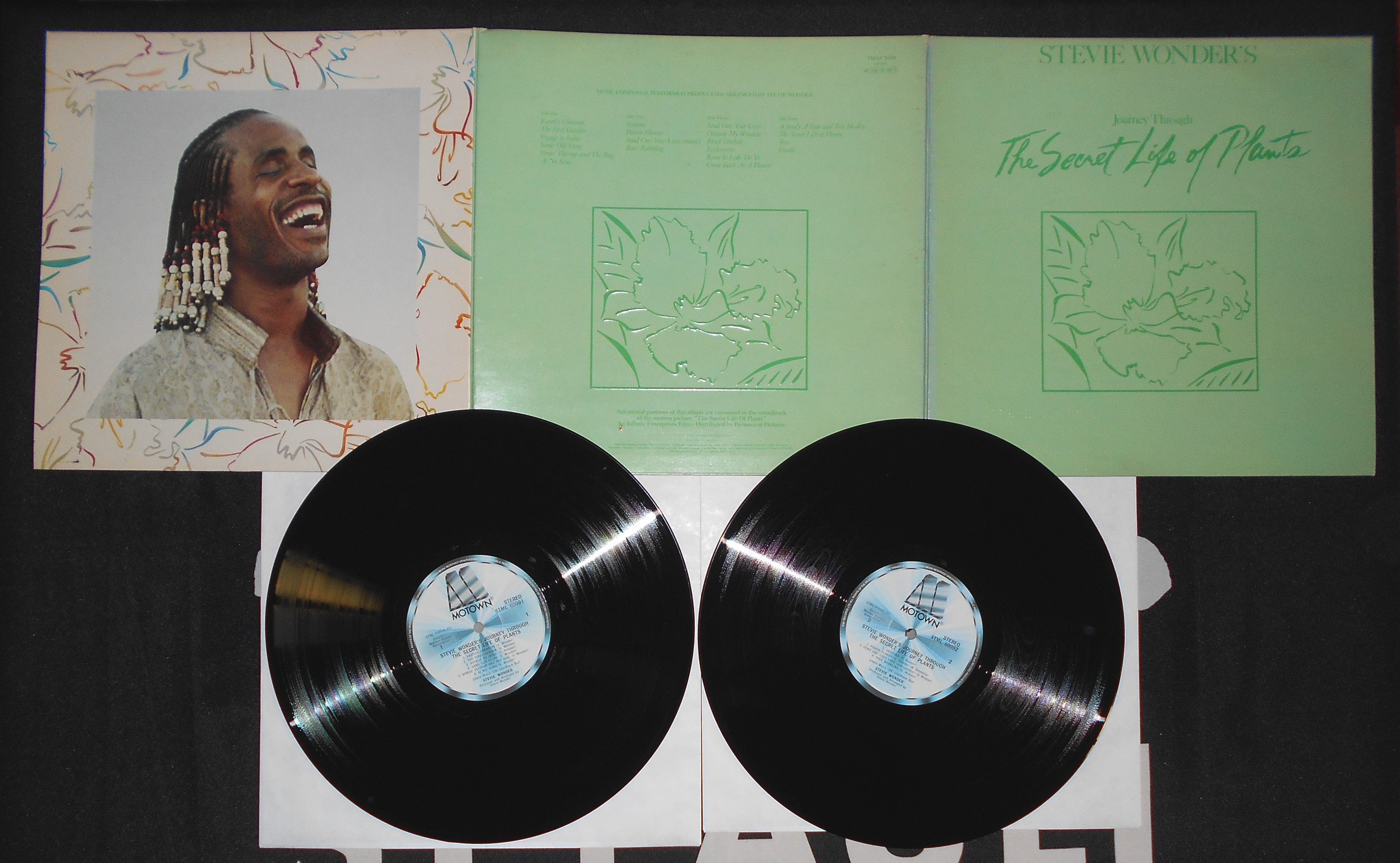 WONDER, STEVIE - The secret Life of the Plants (1).JPG