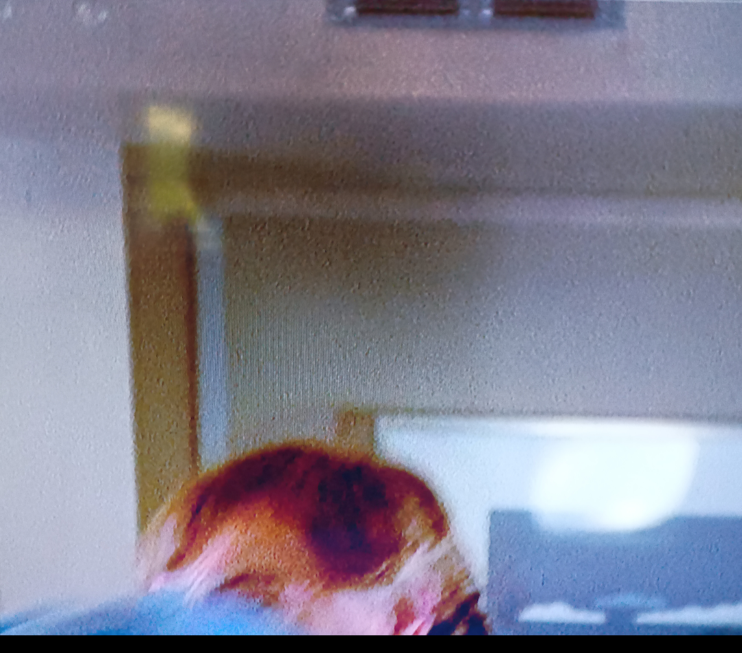 Screenshot_20260504-085133.Fotos.png