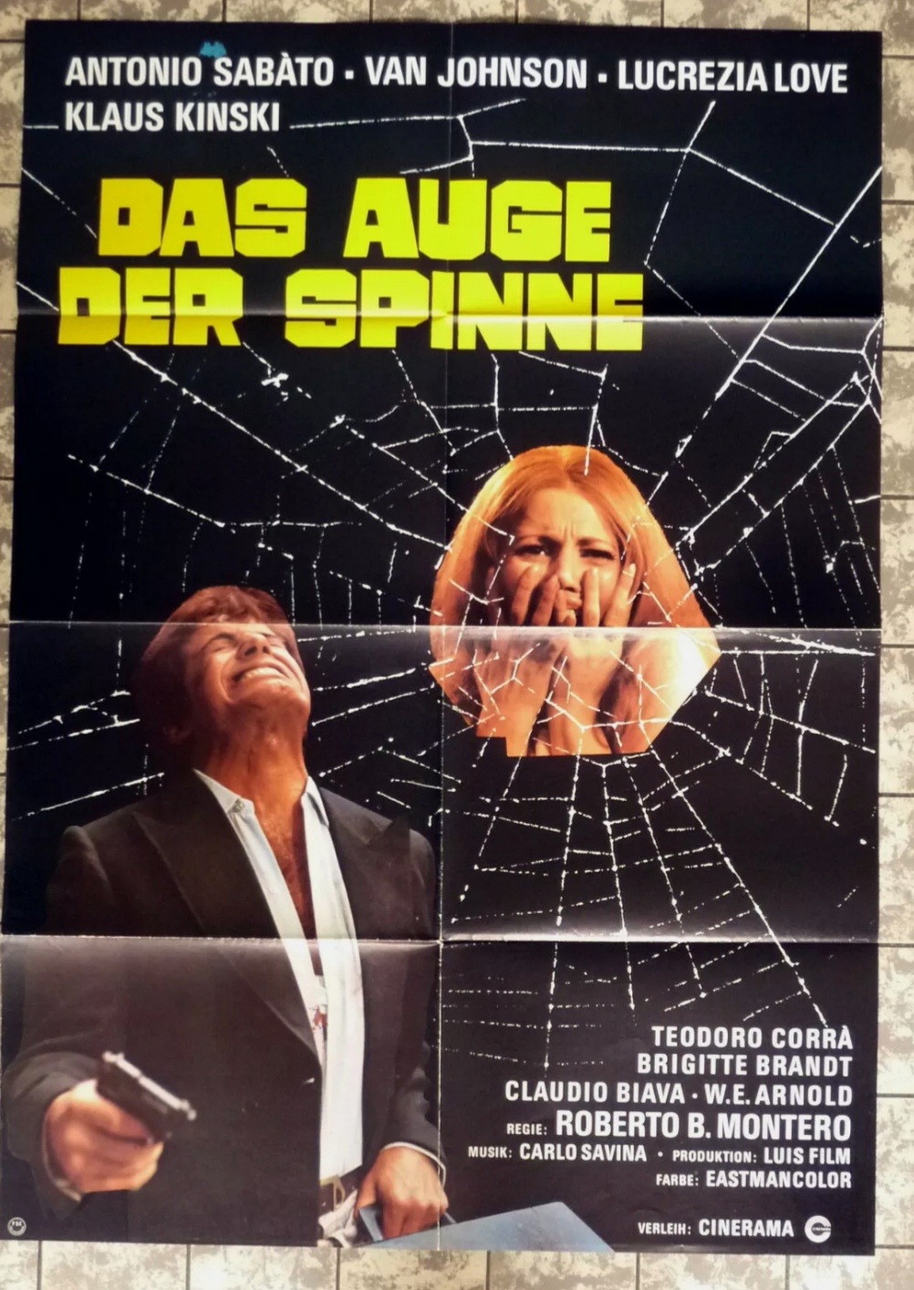 Das Auge der Spinne.jpg