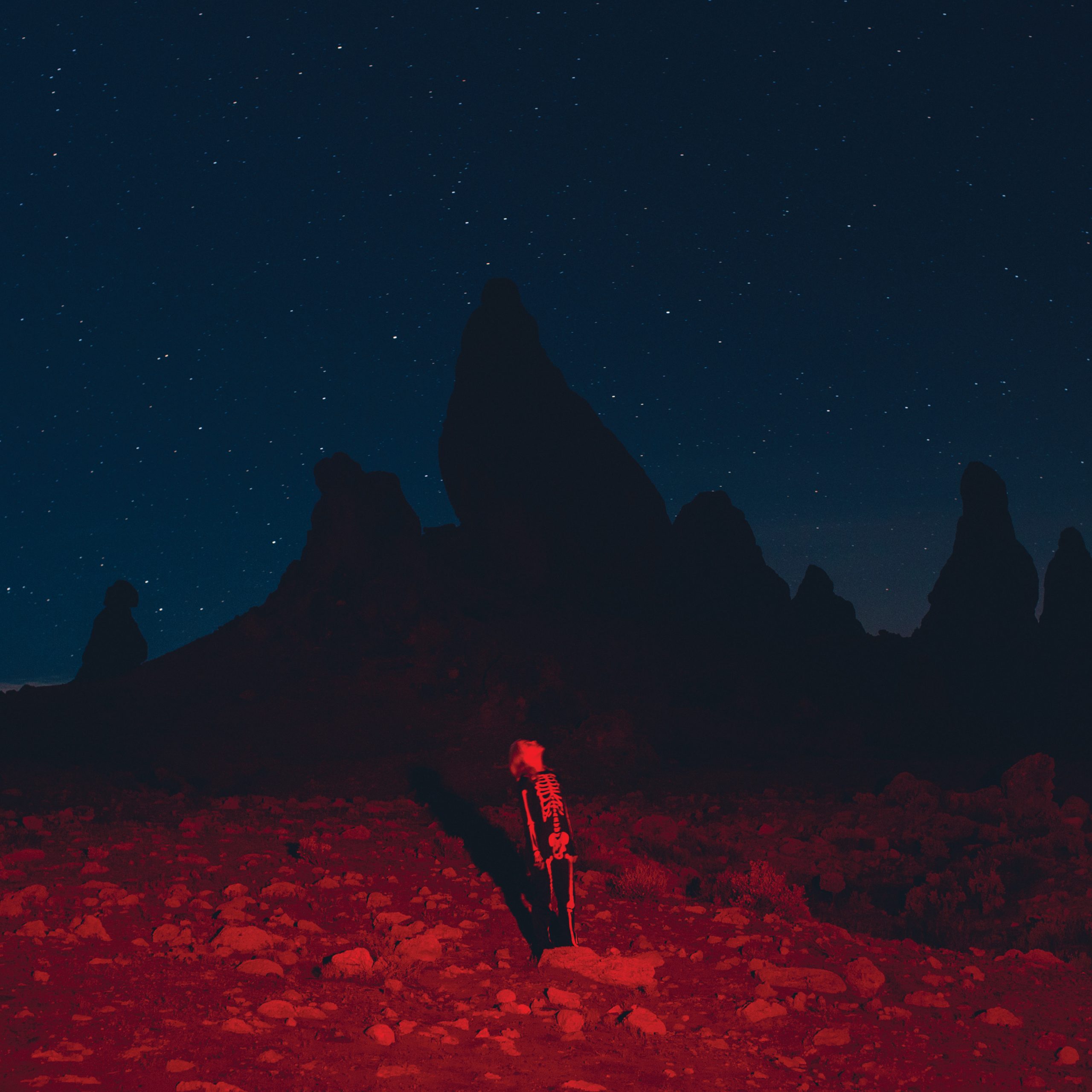 Phoebe-Bridgers-_Punisher_-Album-Art-1586438830-scaled.jpg