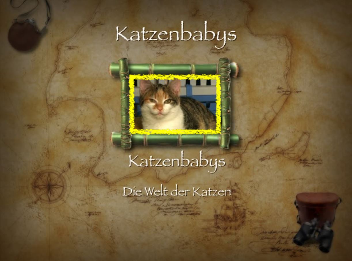 Katzen1.JPG