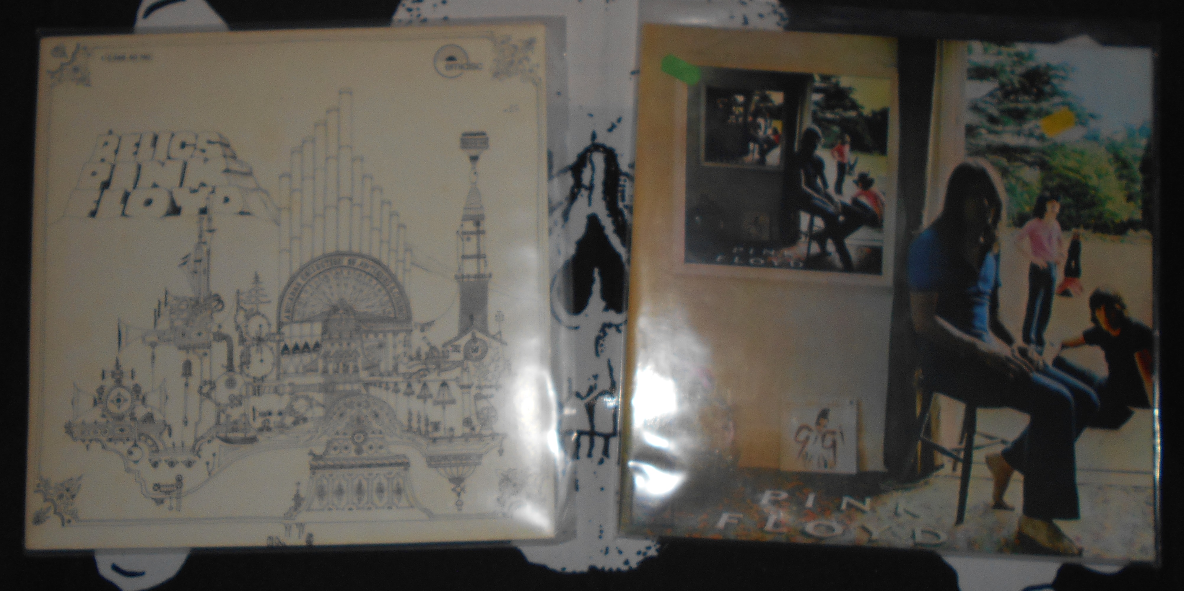 DSCN8378.JPG