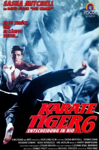 karate tiger 6.jpg