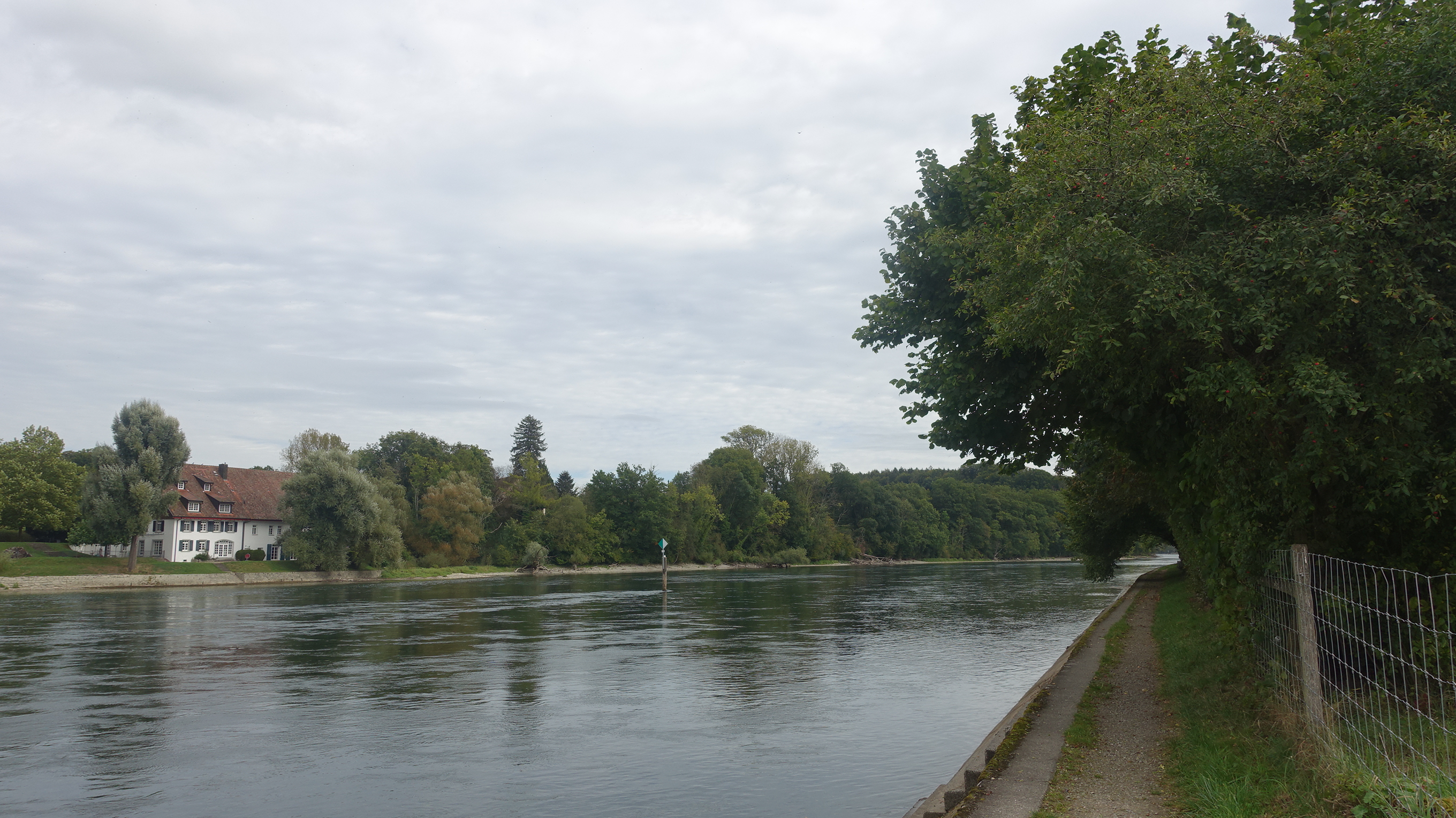 DSC08497_Rheinsäge.JPG