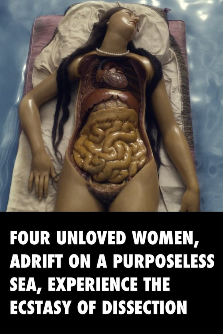 1fb7cc5d-24e5-4bf0-959e-dcd2edd565be.Four-Unloved-Women-Adrift-on-a-Purposeless-Sea-Experience-the-Ecstasy-of-Dissection.l.jpg