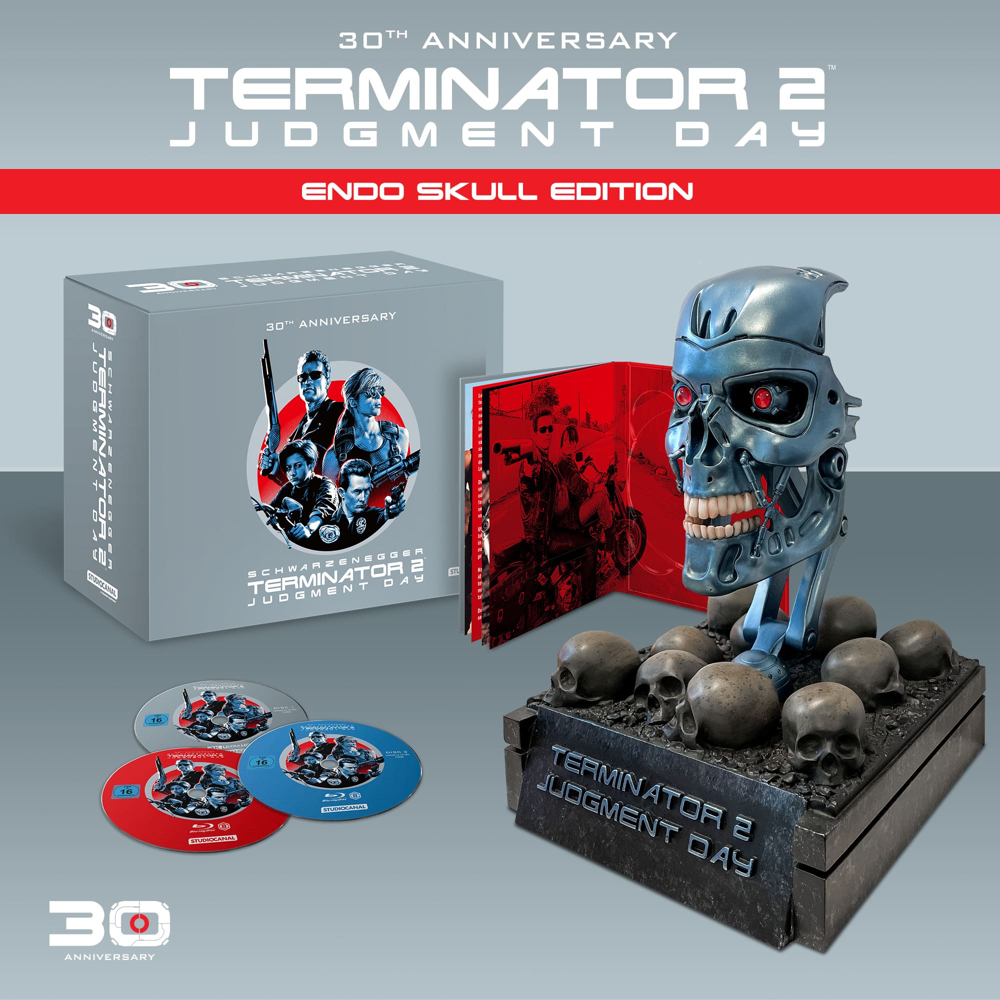 T2skull.jpg