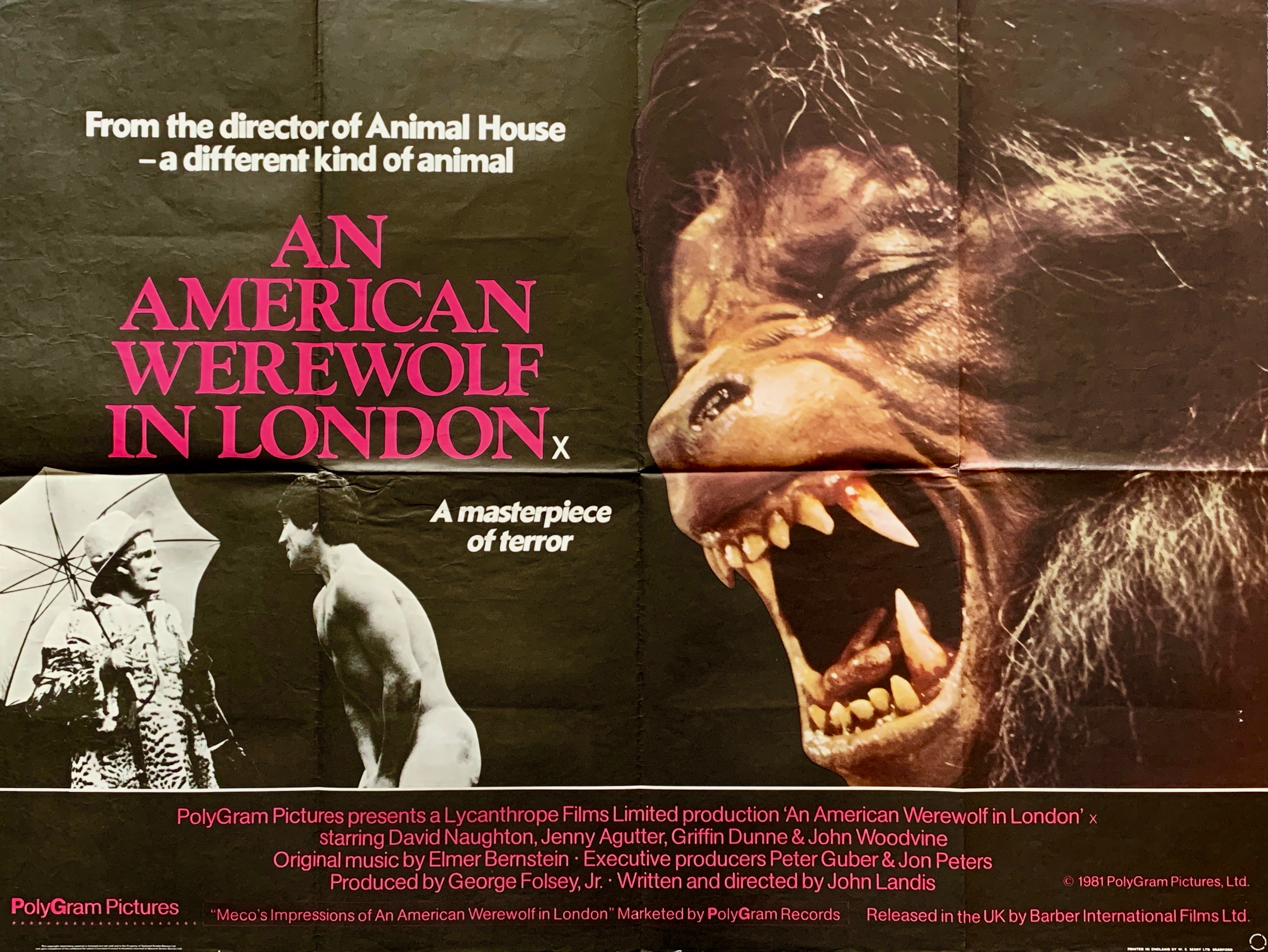 An American Werewolf In London.jpg