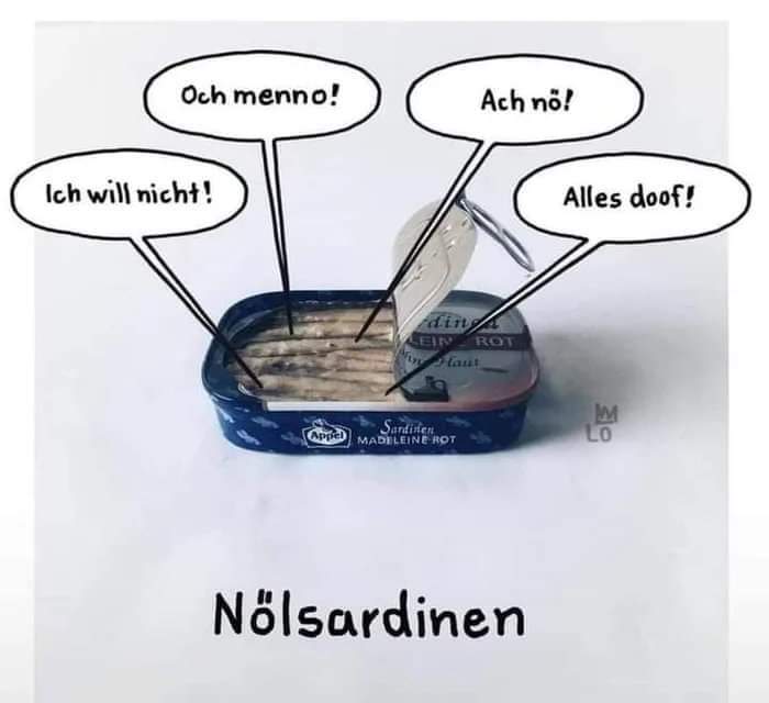 FB_IMG_1642162747437.jpg