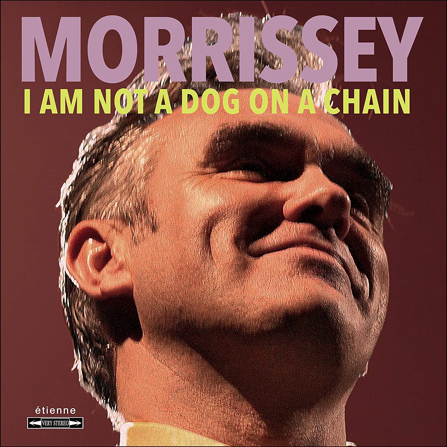 moz.jpg